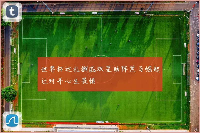 世界杯巡礼挪威双星助阵黑马崛起让对手心生畏惧