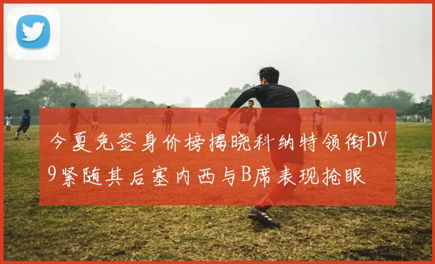 今夏免签身价榜揭晓科纳特领衔DV9紧随其后塞内西与B席表现抢眼